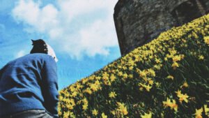 Read more about the article BRUNOBAUER // SINGLE “HANCUR”