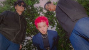 Read more about the article DIVECOLLATE // SINGLE “TULIP”